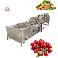 Dates commerciales Ligne d'emballage de classement des fruits Machine Ligne de classement et de tri des cerises Ligne de tri des fruits orange