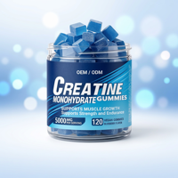 Bonbons Gommeux Pré-Entraînement OEM à Marque Blanche Créatine Monohydrate BCAA pour Adultes, Complément de Prise de Poids pour la Musculation, 120 Unités, Faible en Gras, Végétalien