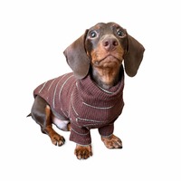Pull en tricot à col roulé pour petits chiens, marron côtelé en polyester avec rayures menthe, tenue chaude d'hiver à deux pattes, 6 tailles