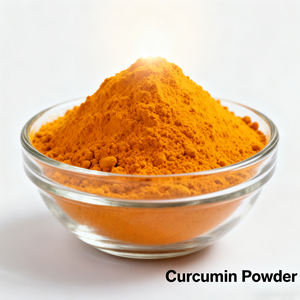 Extracto de raíz de pigmento alimentario al por mayor curcumina 95% extracto de cúrcuma - Product Image 3