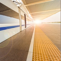 Dalles de pavage tactiles 300x300mm, 18mm d'épaisseur, surface mate antidérapante pour trottoirs, bandes de guidage au sol - Aide pour malvoyants