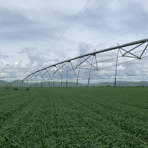 Gengze Gengze Serie DYP Bibo 2025 Sistema de Máquina de Riego Central Agrícola y para Granjas, Alimentado por Energía Solar, Fijo y Montable en Torre, en Venta - Product Image 5