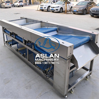 Cranberry sorteermachine op basis van formaat, fruit sorteermachine met gaasband