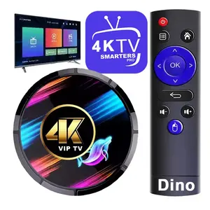 T Venta caliente Android 10,0 Tv Box Soporte M3U IP TV Panel de revendedor Dino Mageott Smarters IP TV Suscripción 4K Prueba gratuita