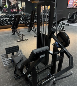 Máquina <span class=keywords><strong>de</strong></span> Dips Sentado <span class=keywords><strong>con</strong></span> Peso Cargado Cybexs, Equipo <span class=keywords><strong>de</strong></span> Gimnasio Future Strength Power X Pulead - Product Image 5