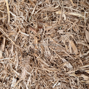 BAGASSE DE CANNE À SUCRE pour l'alimentation, la culture de champignons et l'emballage écologique |   Approvisionnement fiable, prix compétitif - Product Image 1