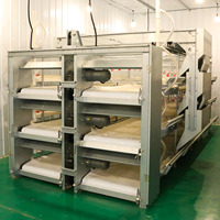 Système d'alimentation automatique pour l'élevage de poulets de chair et de poules pondeuses en cages