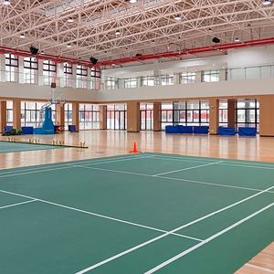 <span class=keywords><strong>แผ่น</strong></span><span class=keywords><strong>พื้น</strong></span>พลาสติกพีวีซีไวนิล<span class=keywords><strong>ลายไม้</strong></span>ศิลปะการต่อสู้แบบสั่งทำติดตั้งง่าย - Product Image 2