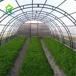 Film de polythène en <span class=keywords><strong>plastique</strong></span> à portée unique de haute qualité <span class=keywords><strong>Tunnel</strong></span> de squelette en acier galvanisé élèvent la serre de tente <span class=keywords><strong>pour</strong></span> les <span class=keywords><strong>semis</strong></span> - Product Image 2