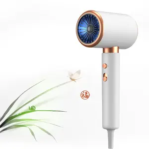 Portable Salon One Step Mini Hotel Cordless 5 in 1 Wireless Ionic Pet High Speed Professional Hair Dryer