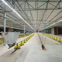 Nouvelle conception de ferme avicole avec système d'élevage automatique en métal et plastique pour poulets, canards, oies et dindes