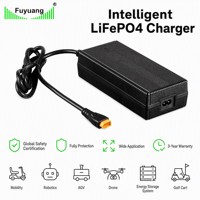 Chargeur intelligent pour batteries LiFePO4 et plomb-acide 12V 24V 36V 48V 60V 72V 84V, 2A 5A 10A 20A 40A, pour trottinettes électriques et applications robotiques