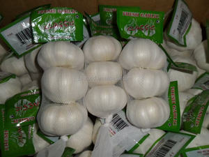 Nueva cosecha orgánica fresca rojo normal púrpura puro <span class=keywords><strong>ajo</strong></span> blanco precio de mercado <span class=keywords><strong>chino</strong></span> <span class=keywords><strong>Ajo</strong></span> Alho ajos para alimentos al por mayor <span class=keywords><strong>ajo</strong></span> mundo - Product Image 3