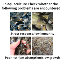 Additifs alimentaires avancés pour poissons-chats, formule multivitaminée d'acides aminés de qualité alimentaire, améliore l'immunité, agriculture saine, approvisionnement en vrac
