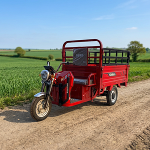 Vélo cargo électrique avec plateau latéral haut, double phare et protection avant pour la livraison de nourriture en ville et le service quotidien - Product Image 1