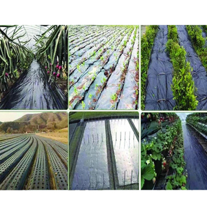Tela de Control de Malezas de PP, Cubierta para Suelos Hortícolas, Película de Cobertura Perforada para Huertos y Árboles Frutales, Transpirable y Permeable al Agua - Product Image 5