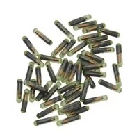 ID 48芯片汽车钥匙玻璃应答器ID48原始设备制造商VVDI T6加密解锁芯片大众奥迪座椅斯柯达本田