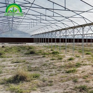 Serre multi-spans résistante au vent avec fenêtres automatiques - Fermeture automatique en cas de pluie/tempête pour protéger les cultures et les investissements - Product Image 3