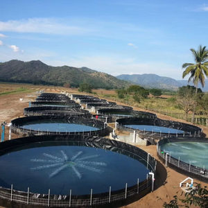 แผ่นกันซึม HDPE เกรดอุตสาหกรรม หนา 1.50 มม. สำหรับบ่อเก็บน้ำ ได้รับการรับรองมาตรฐาน ASTM GRI GM13 สำหรับระบบกักเก็บน้ำ - Product Image 3