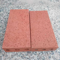 Briques en argile paysagère pour application au sol, briques en terre cuite frittée poreuses