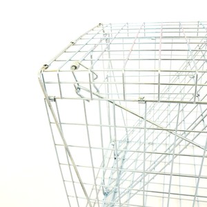 Rete metallica pieghevole cane gatto gatto selvatico gabbia trappola umana cattura e rilascio gabbia grande animale vivo trappola per animali selvatici - Product Image 4