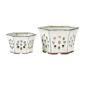 Couleurs optionnelles Pots d'orchidées durables Pots de plantes de jardin à vendre - Product Image 1