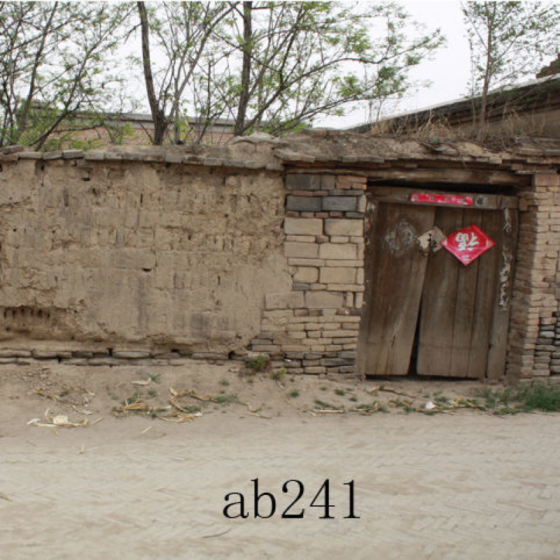 ab241--Dongxu