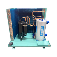 Refroidisseur d'eau refroidi par air commercial industriel 220V Machine de chambre froide de réfrigération industrielle