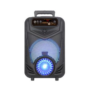 Altavoz Bluetooth Portátil Mini de 8 Pulgadas, con Luz Ambiental, para Uso en Interiores o Exteriores, Karaoke, NDR-P44 - Product Image 1