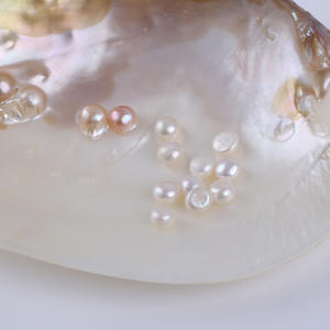 Perles de pain en eau douce naturelles en gros, 7-8 mm, perles lâches avec trou traversant, perles nues pour la fabrication de bijoux faits main - Product Image 3