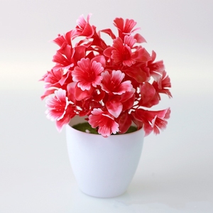 Yopin-2329 - Product Image 4