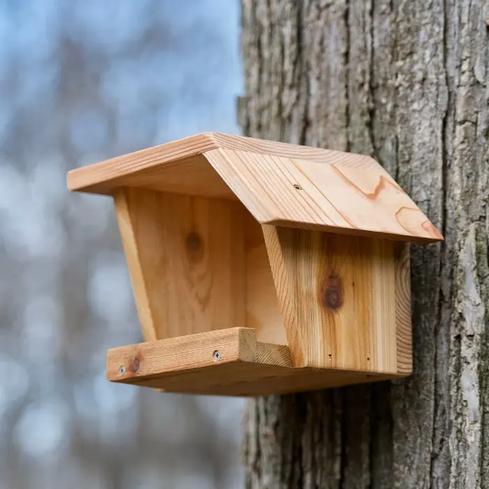 American Robin Cedar Wood Nest Box Aplicação Pássaro Sustentável