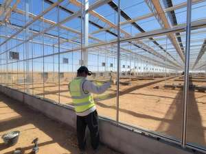 Goedkope glazen kas voor de landbouw met hydroponisch kweeksysteem voor de teelt van aardbeien/tomaten/sla/komkommers - Product Image 6