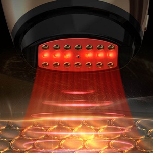 Appareil de massage facial à micro-courant et lumière LED rouge pour raffermissement de la peau, utilisation à domicile - Product Image 3