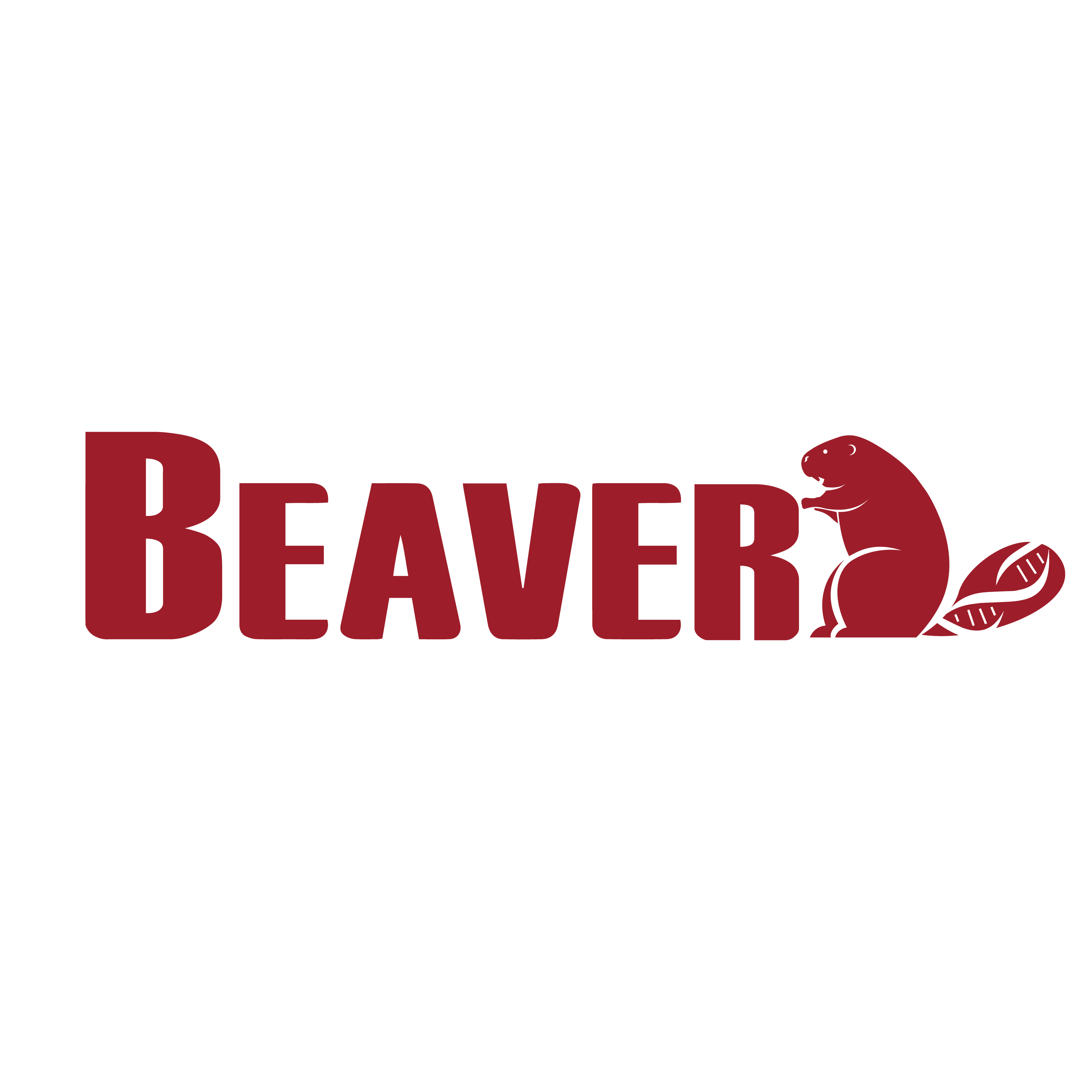 Beaver Biomedical Engineering Co., Ltd. logo