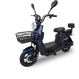 Vélo Électrique <span class=keywords><strong>Jumbo</strong></span> à Longue Autonomie, Deux Roues, 48V, Léger, Cadre en Acier Carbone, Alimenté par Batterie, Commerce Extérieur Transfrontalier - Product Image 1