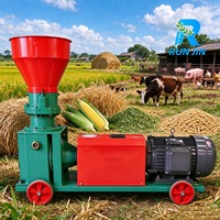 Granulateur Électrique de Granulés d'Aliments pour Animaux 100kg/h – Machine de Traitement des Aliments pour Poissons et Volailles