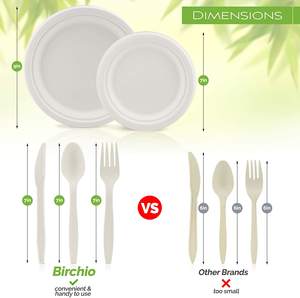 Disposable Environmental protection Eco Sugarcane Bagasse Party Plates - Product Image 2