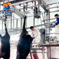Système de levage automatique des bovins pour abattoir de bétail, machine d'abattage du bétail