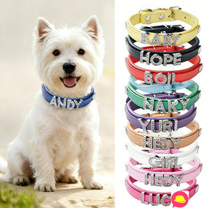 Dafeel Personalised Letter Pet <b>Collar</b> Custom <b>Name</b> Engraved Adjustable <b>Collar</b> for <b>Dogs</b> and Cats - Product Image 1