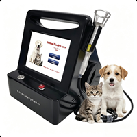 Laser diode professionnel 980 nm 15 W pour animaux, chirurgie vétérinaire, physiothérapie animale, soulagement de la douleur chez le chien et le chat, machine de cicatrisation des plaies
