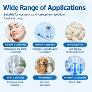 Poudre <span class=keywords><strong>d</strong></span>'<span class=keywords><strong>acide</strong></span> <span class=keywords><strong>hyaluronique</strong></span> réticulé de sodium de haute pureté à <span class=keywords><strong>prix</strong></span> <span class=keywords><strong>d</strong></span>'usine pour injectables anti-âge et anti-rides - Product Image 4