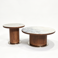 Ensemble de tables basses modernes avec structure en acier inoxydable et plateau en marbre, meubles de salon durables et multifonctionnels
