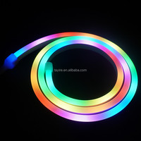 Bande LED néon flexible intelligente en PVC souple, étanche, avec télécommande USB APP BT, pour extérieur, chambre à coucher, lumière néon LED magique de couleur