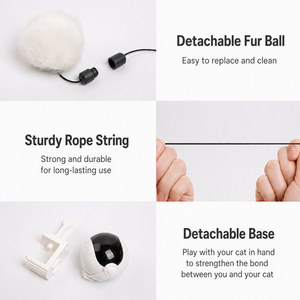 Jouet interactif intelligent électrique populaire pour chat, robot automatique d'entraînement IQ, jouet de jeu <span class=keywords><strong>Yoyo</strong></span>, jouet de pêche pour chat d'intérieur - Product Image 3