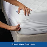 Coussin de luxe 100% coton, couche supérieure douce, garnissage en fibres EternaLoft haute densité, coins extensibles durables, 18 pouces de profondeur, lavable en machine