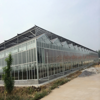 Serre agricole multi-chapelles en verre Blue Sky avec structure en aluminium, fonctionnement automatique, longue durée de vie