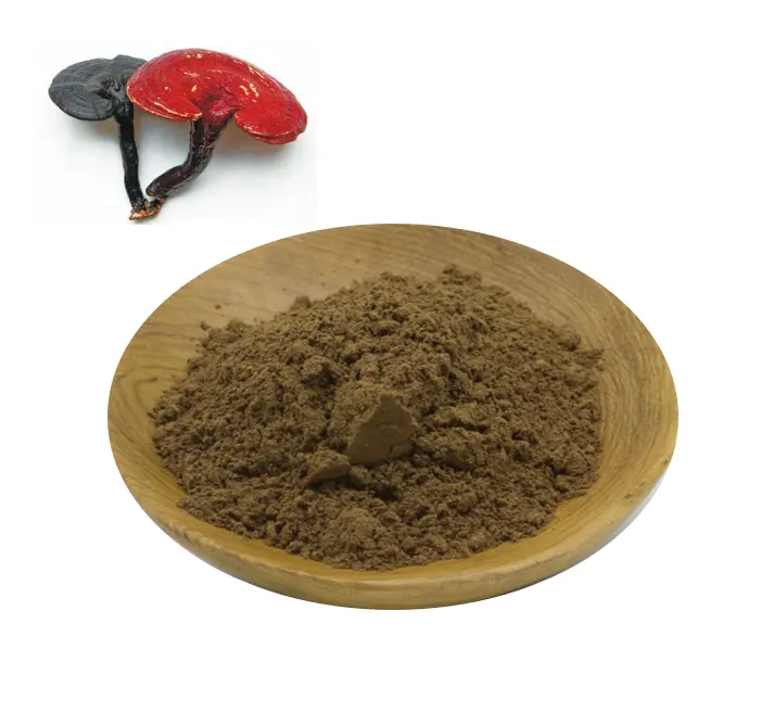 Wholesale Bulk Pure Organic Ganoderma Lucidum Extract Reishi Mushroom Extract Powder
