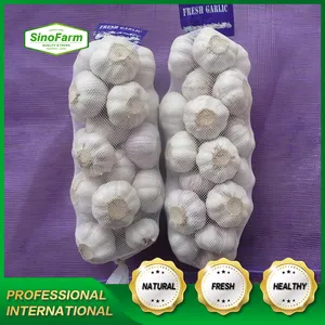 High Quality Fresh Chinese Garlic New Crop Normal White And Pure White Garlic Ajo Alho Export From Chinese Garlic Wholesaler