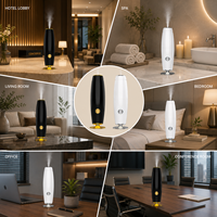 Diffuseur d'arômes sans eau, diffuseur de parfum, capacité de 50 ml, pour la maison et le bureau